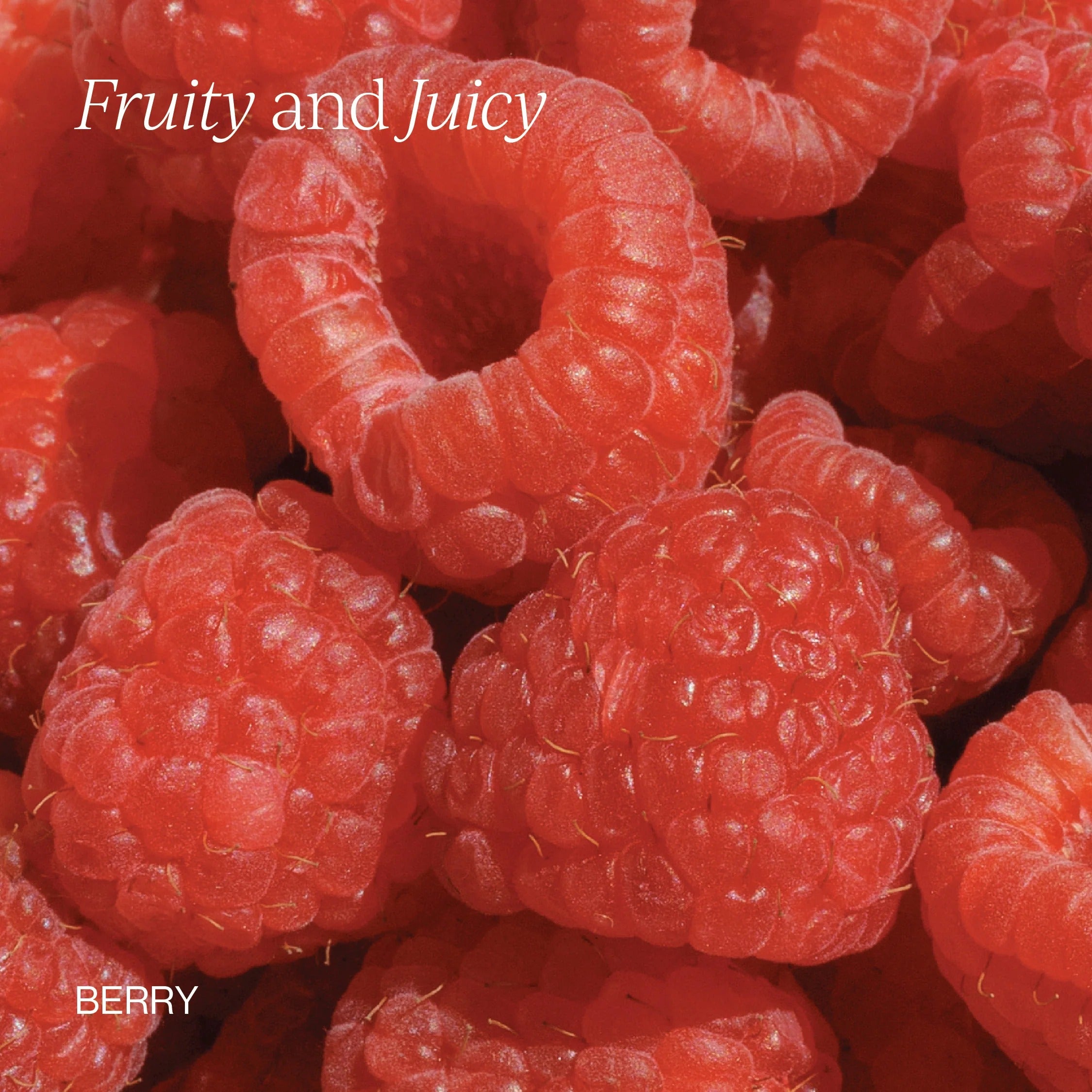 Cymbiotika® Liposomal Vitamin B12 + B6 for Energy + Cardiovascular Support