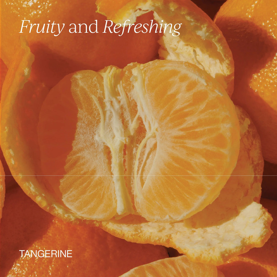 Cymbiotika® Liposomal Vitamin D3 + K2 + CoQ10 (New & Improved)