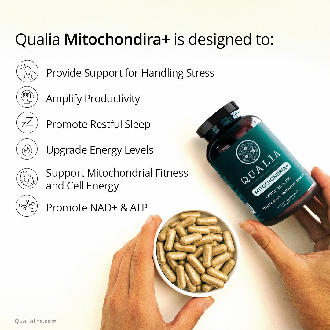 Qualia Mitochondria+ - Amplify Cellular Energy for Longevity