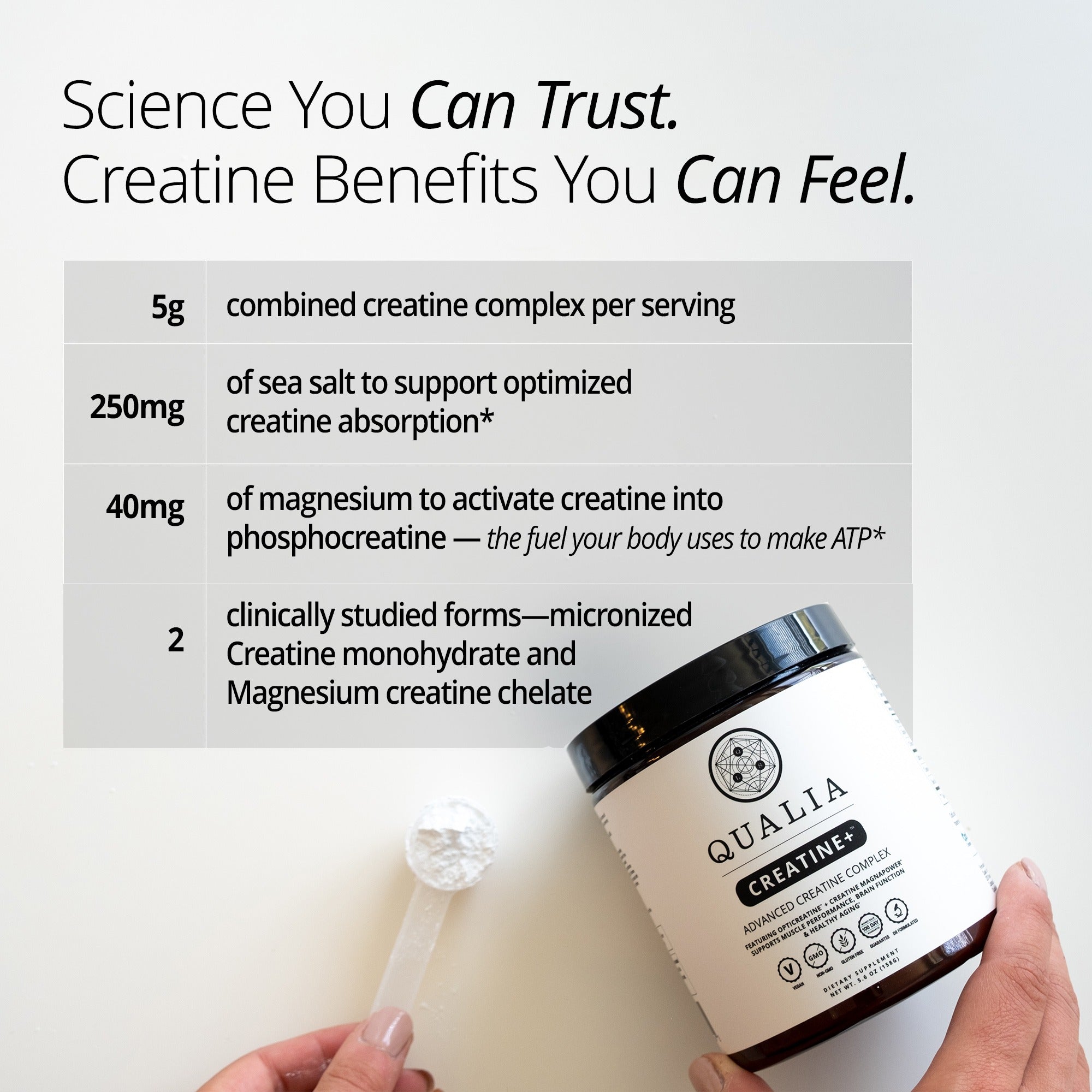 Qualia Creatine+ | Advanced Creatine for Strength & Brain