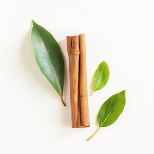 Organic Cinnamon Leaf