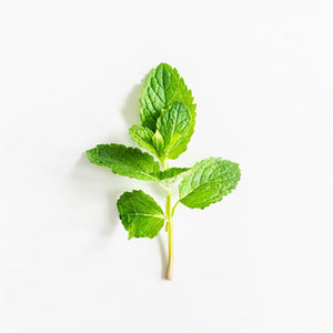 Organic Spearmint