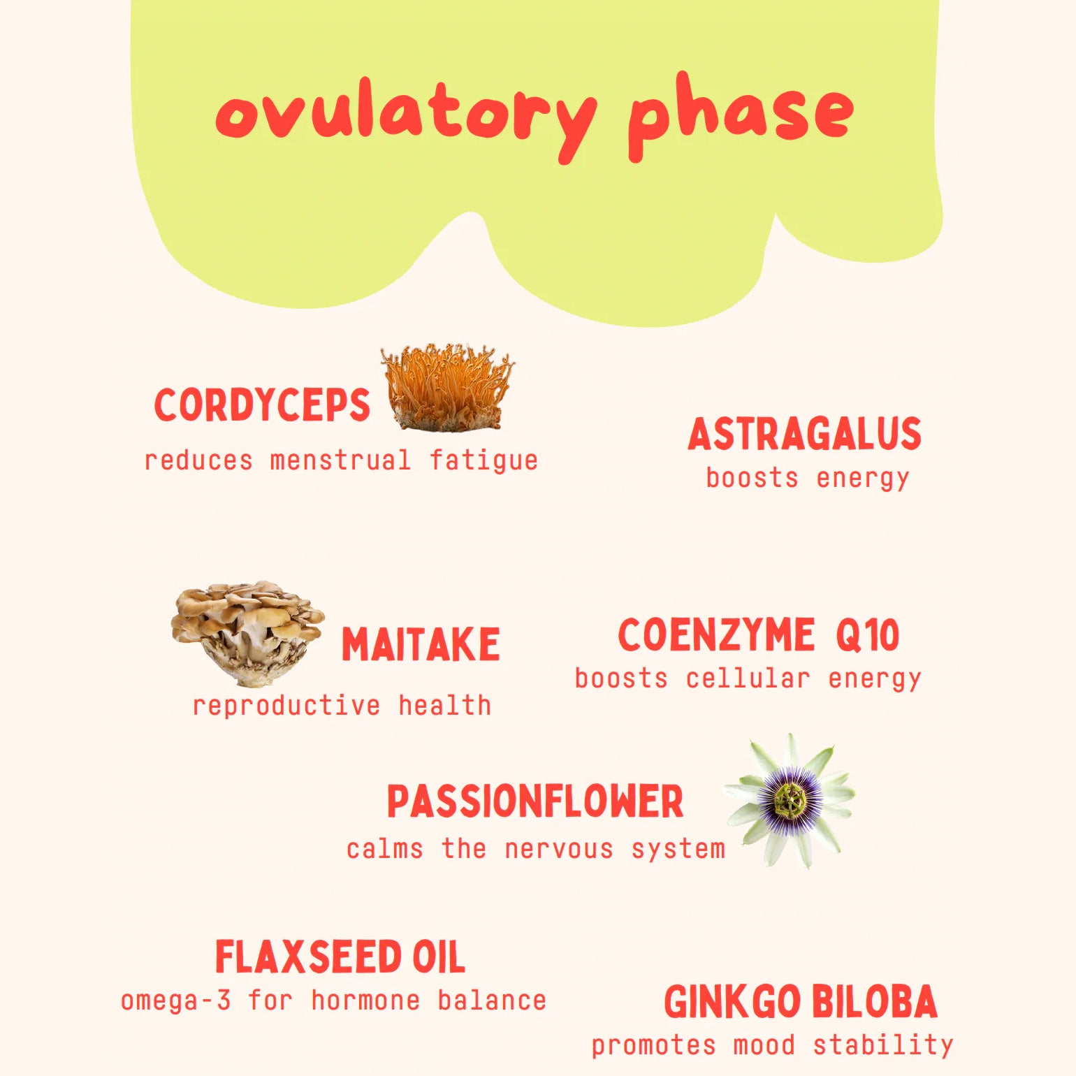 Baker's Botanics Ovulatory Phase Replacement Bags