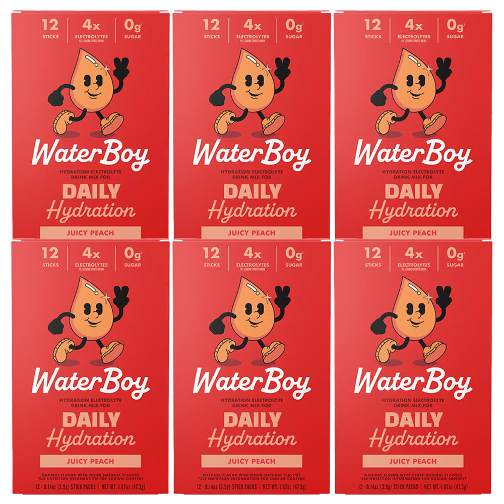 Waterboy Daily Hydration Electrolyte Drink Mix - 12 Sticks (Juicy Peach)
