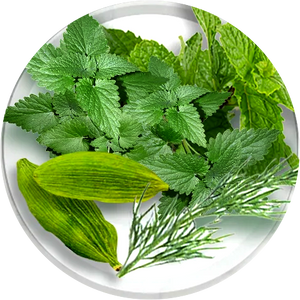 PEPPERMINT, SPEARMINT, FENNEL & CARDAMOM