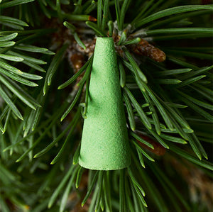 Rich Pine (Sandalwood + Cedarwood)