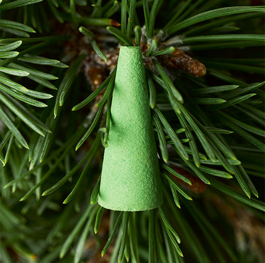 Rich Pine (Sandalwood + Cedarwood)