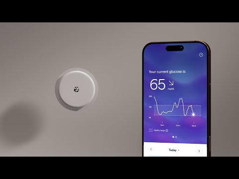 Lingo Continuous Glucose Biosensor by Abbott (1-Pack)