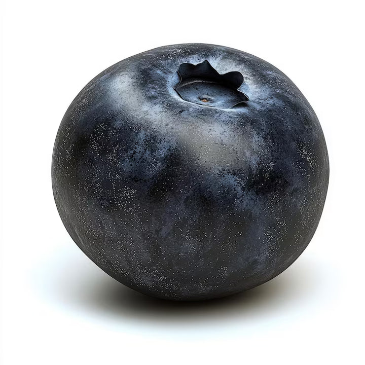 +blueberry