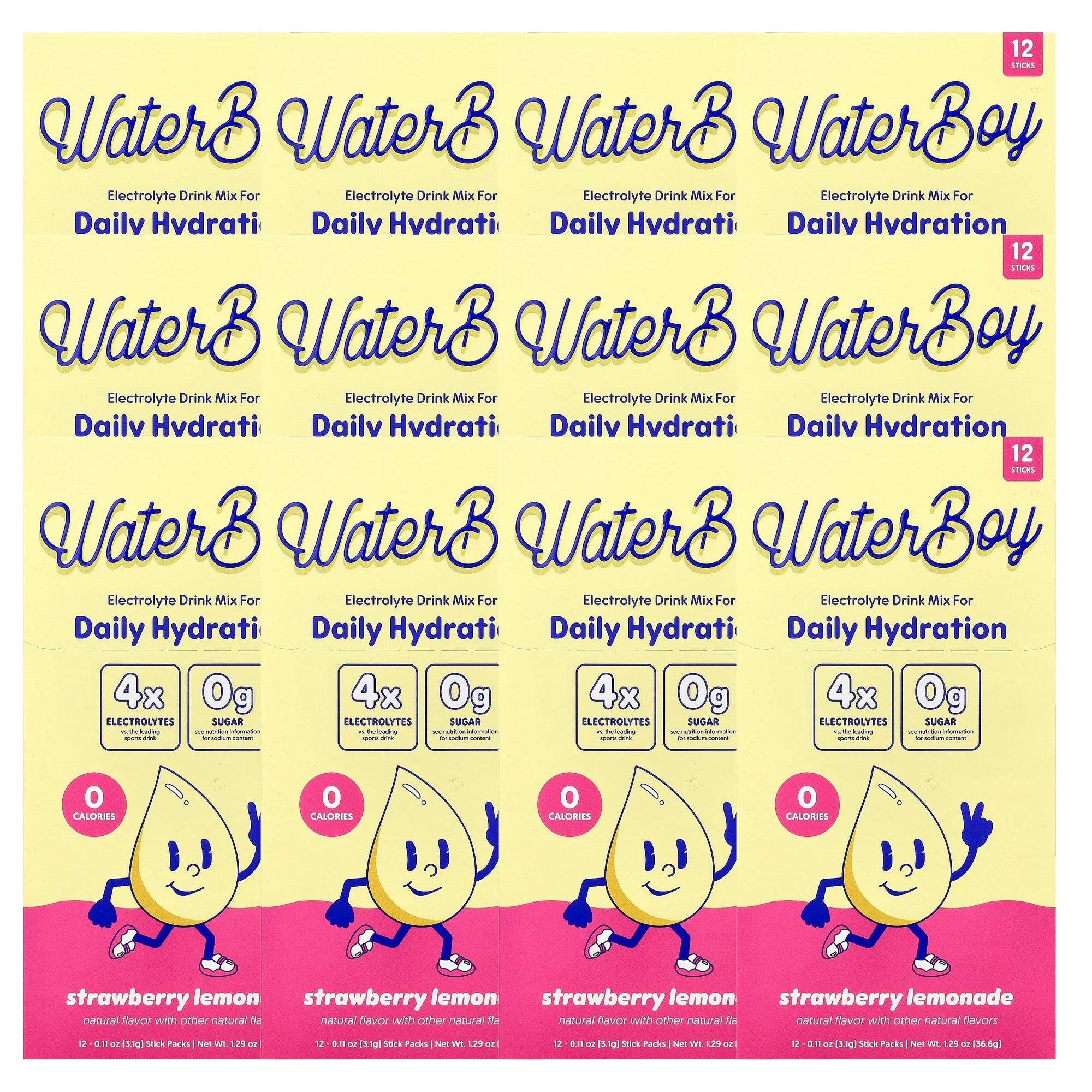 Waterboy Daily Hydration Electrolyte Drink Mix - 12 Sticks (Strawberry Lemonade)