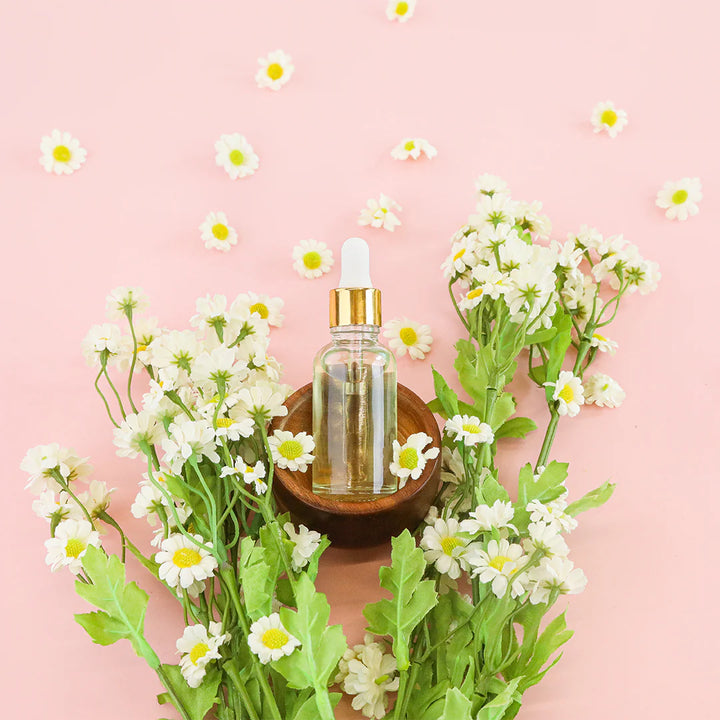 Chamomile Extract