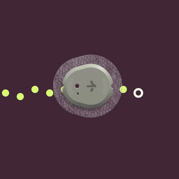 Stelo Glucose Biosensor Kit by Dexcom (1 Pack - 15 Day Supply)