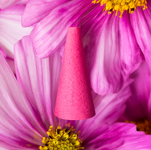 HOUSEPLANT by ripple⁺ Home Incense Droplets (Curated by Seth Rogen)