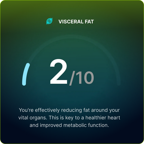 Measure Visceral Fat