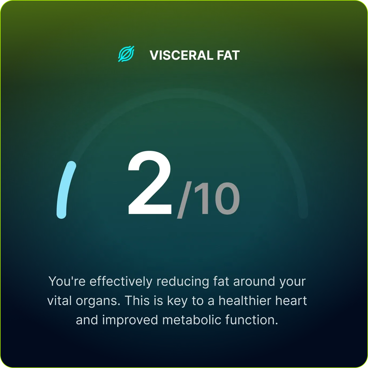 Measure Visceral Fat