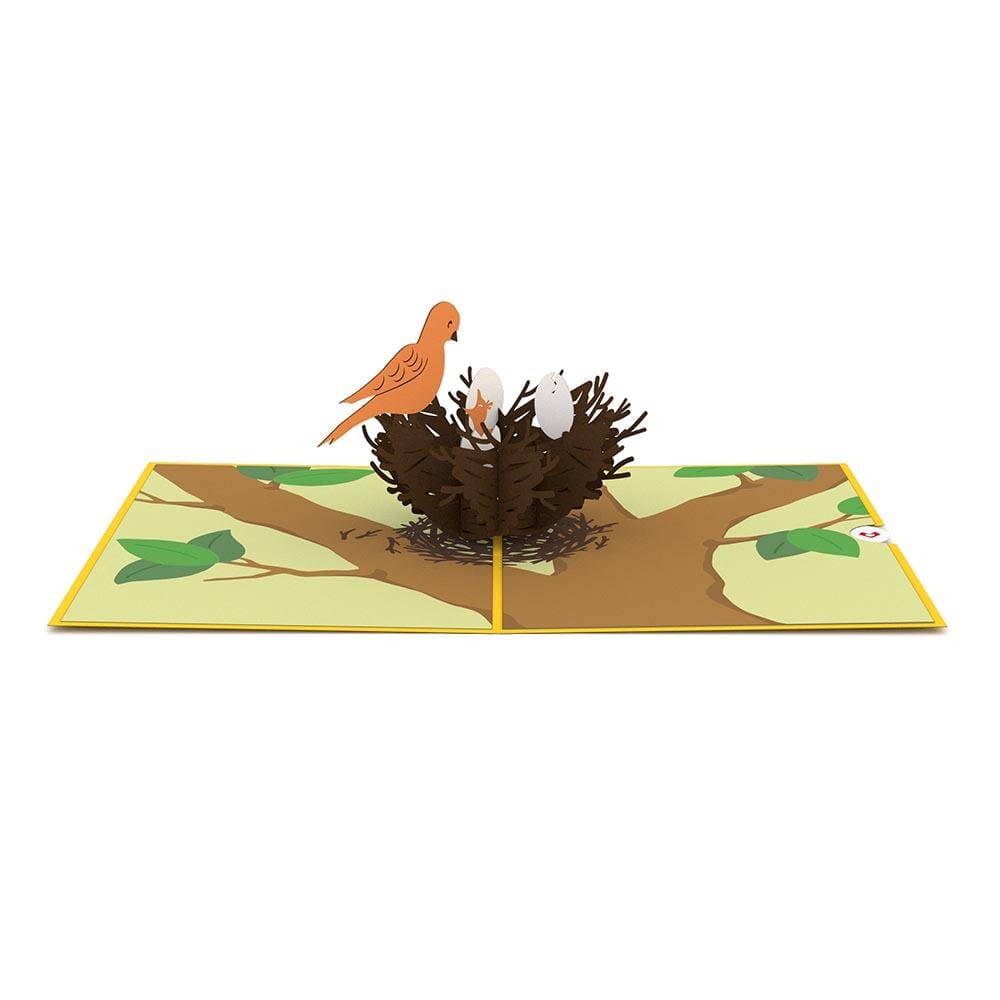 Birds Nest 3D Card