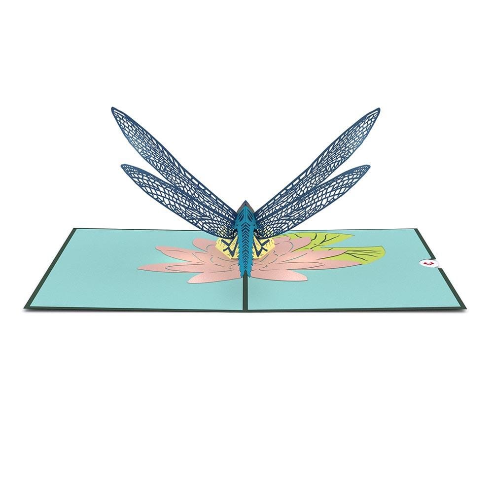 Dragonfly 3D card