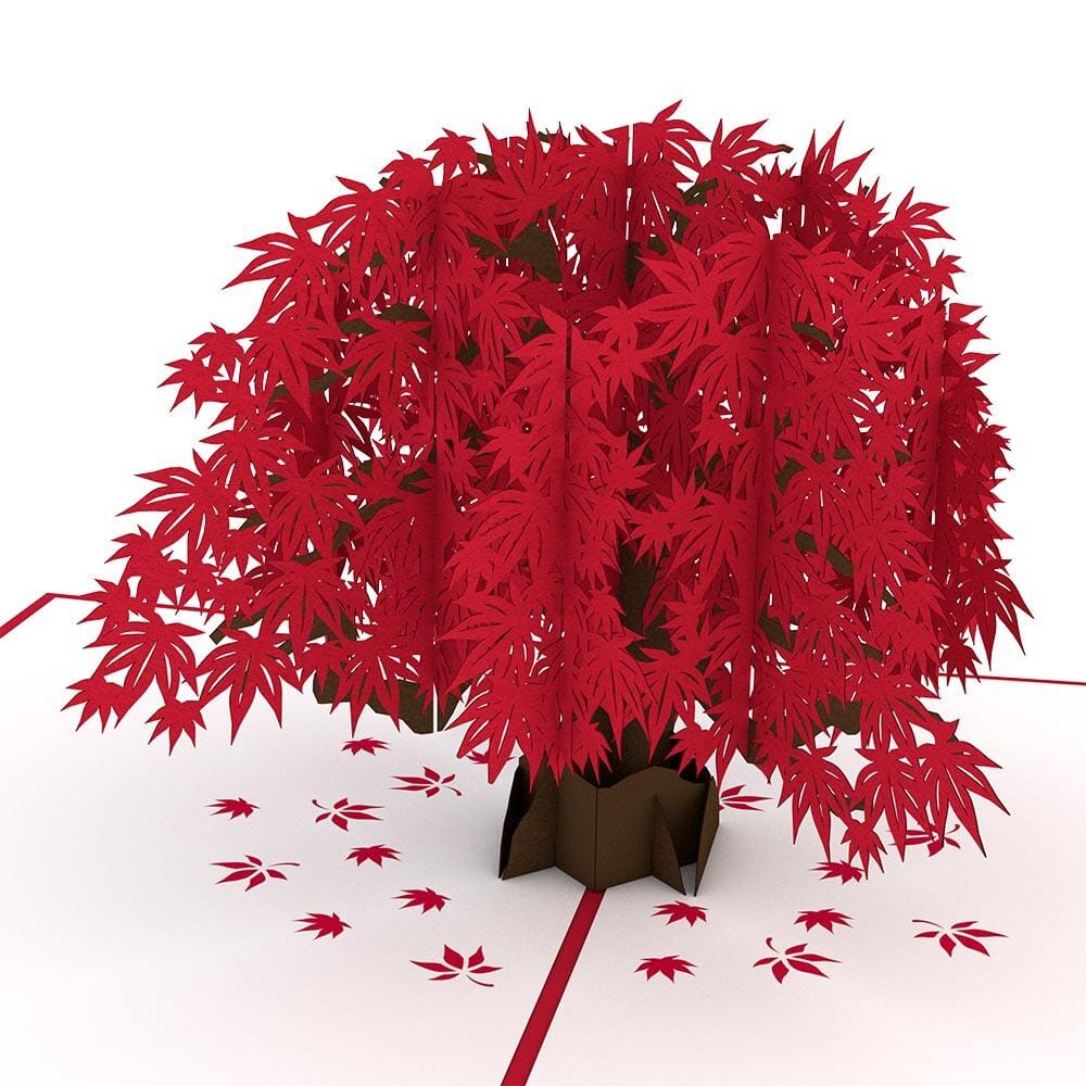 Japanese Maple 3D card