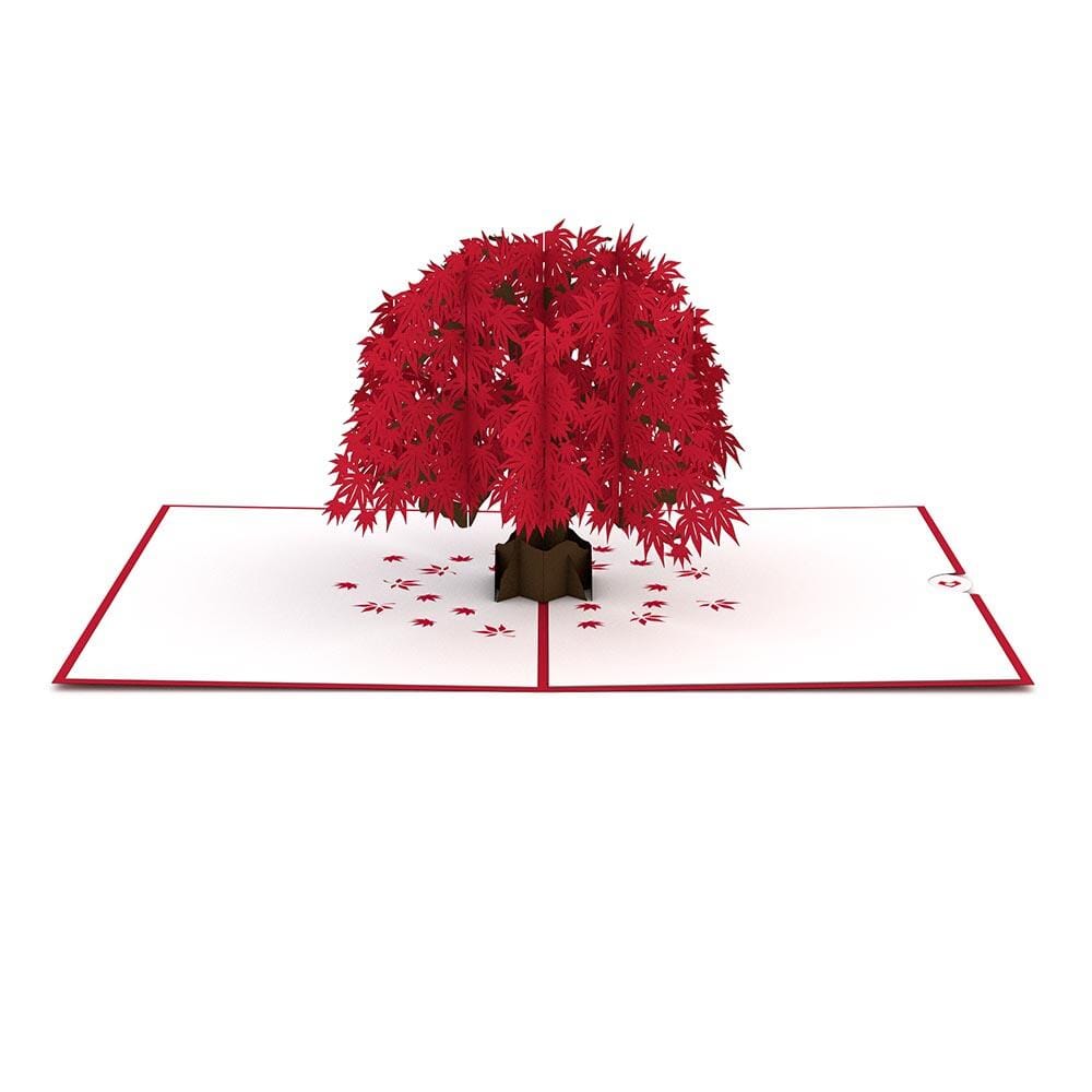Japanese Maple 3D card
